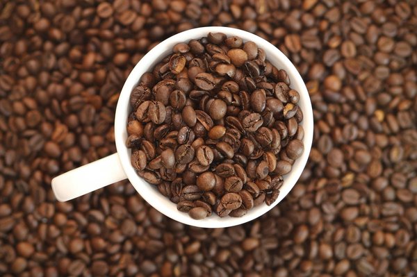 Discover premium wholesale coffee beans for every taste